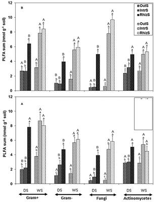 Spatial and Temporal Distribution of Soil Microbial Properties in Two Shrub Intercrop Systems of the Sahel